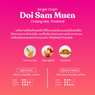 เมล็ดกาแฟดอยสามหมื่น Washed process จังหวัดเชียงใหม่ เมล็ดกาแฟอาราบิก้า Cherdchai Coffee Roasters