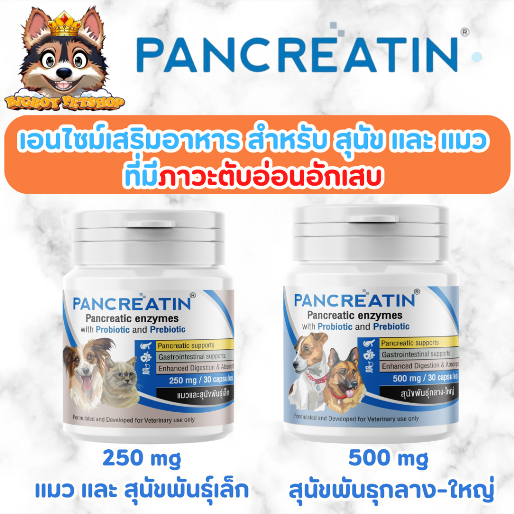 Pancreatin [ของแท้] ผลิตภัณฑ์เอ็นไซม์เสริมอาหาร สำหรับสุนัขและแมวที่มีภาวะตับอ่อนอักเสบ (แพนครีเอทิน