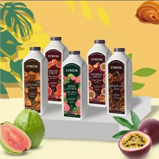 น้ำผลไม้เข้มข้น Fruit Based Preparation (Btl-1 L.)