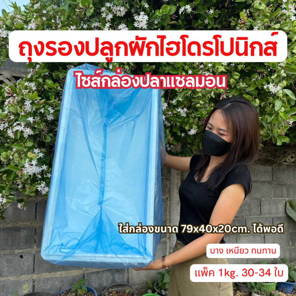 ถุงรองปลูกผักไฮโดรโปนิกส์ ถุงรองกล่องโฟม ถุงรองปลูกผัก ถุงรองกล่องปลาเเซลมอน รุ่นเน้นจำนวนใบ บางเหนียว พร้อมส่ง