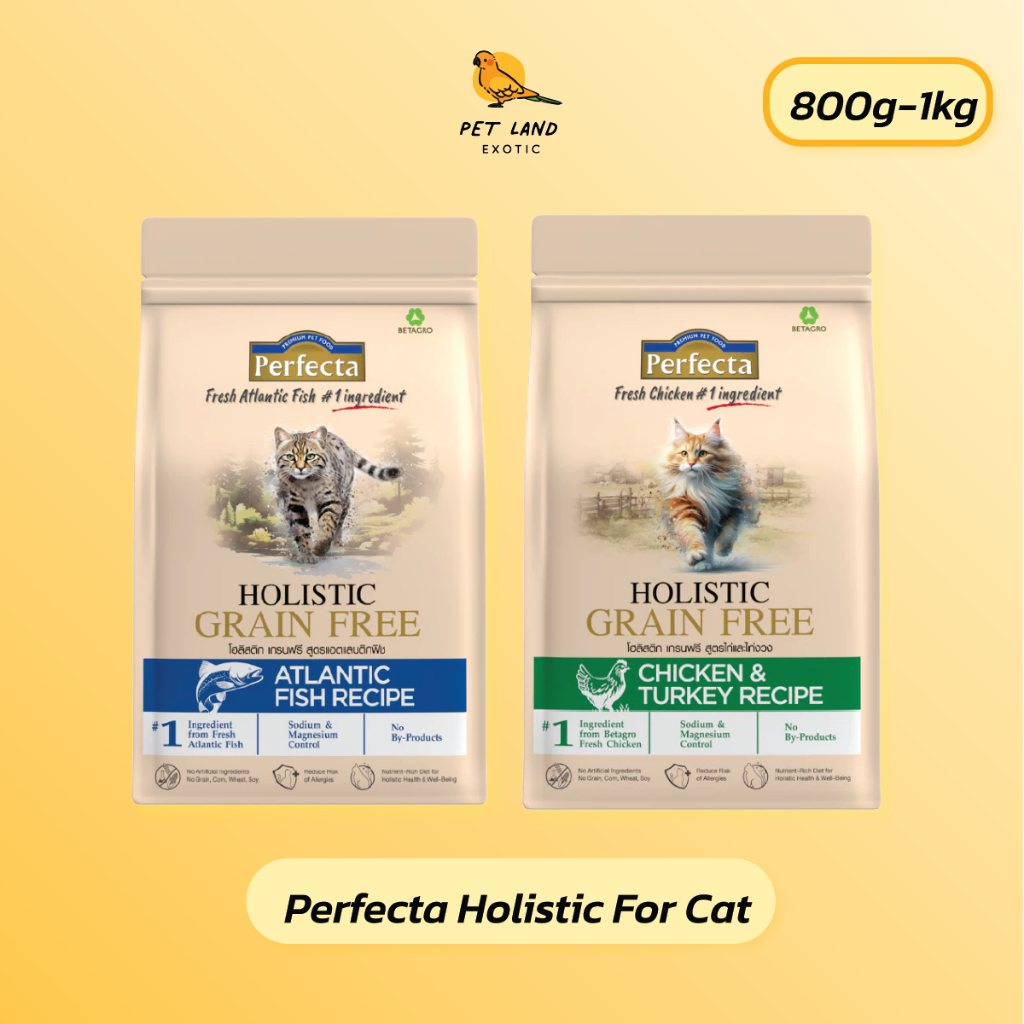 Perfecta Holistic For Cat Grain Free อาหารแมวโฮลิสติก ไม่ผสมธัญพืช ขนาด 0.8-1 kg