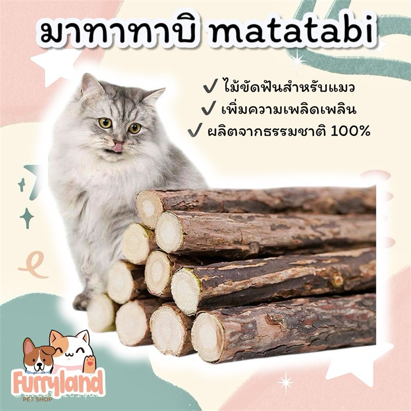 มาทาทาบิ ไม้มาทาทาบิ แคทนิป ขัดฟันแมว เพิ่มความผ่อนคลายและเพลิดเพลิน