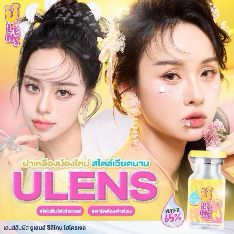 Big Hoian Brown สายตาปกติ สีน้ำตาลละมุนฟิวเตอร์ลายสวย คอนแทคเลนส์ - รูปที่ 2