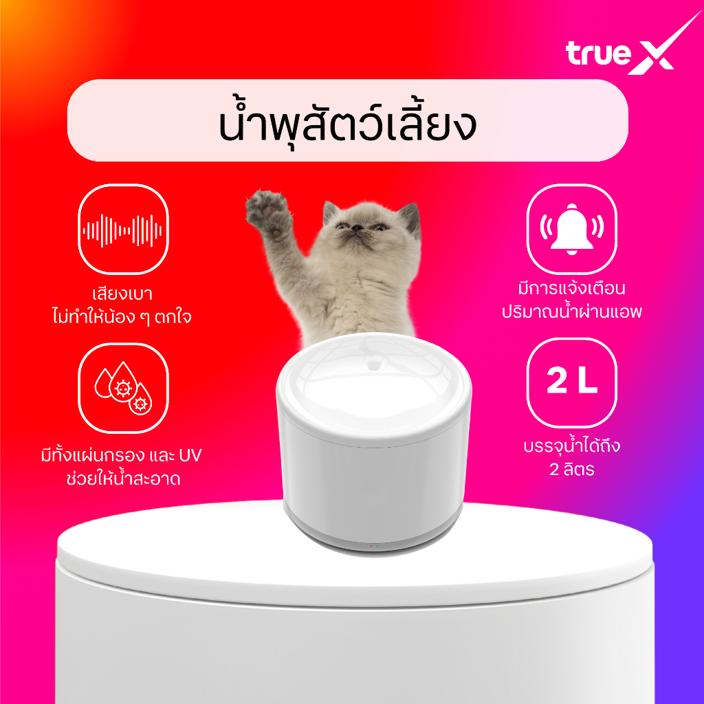 Smart Water Pet Fountain น้ำพุสำหรับสัตว์เลี้ยง