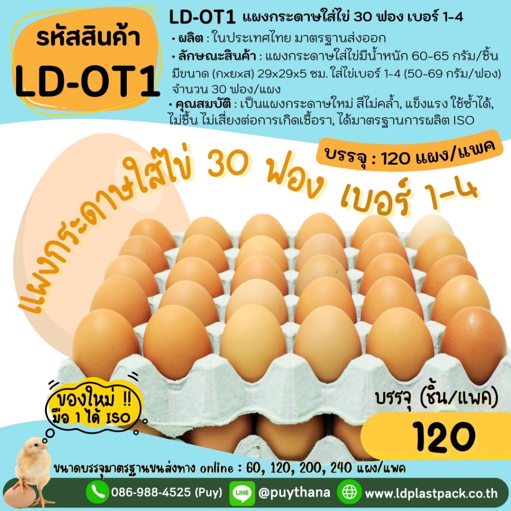 (120 แผง ของใหม่ มือ1) [LD-OT1]แผงกระดาษใส่ไข่ แบบมีรู ถาดใส่ไข่กระดาษ แผงไข่ 30ฟอง ใส่ไข่เบอร์1-เบอ
