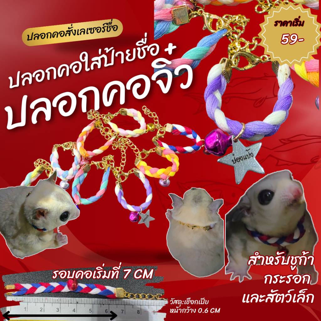 (รบกวนแจ้งชื่อที่หมายเหตุก่อนสั่ง) ปลอกคอจิ๋วชูก้าไรเดอร์ กระรอก  ขนาดรอบคอเริ่ม 7 CM. ปลอกคอลูกค้าสามารถสั่งเลเซอร์ชื้อ