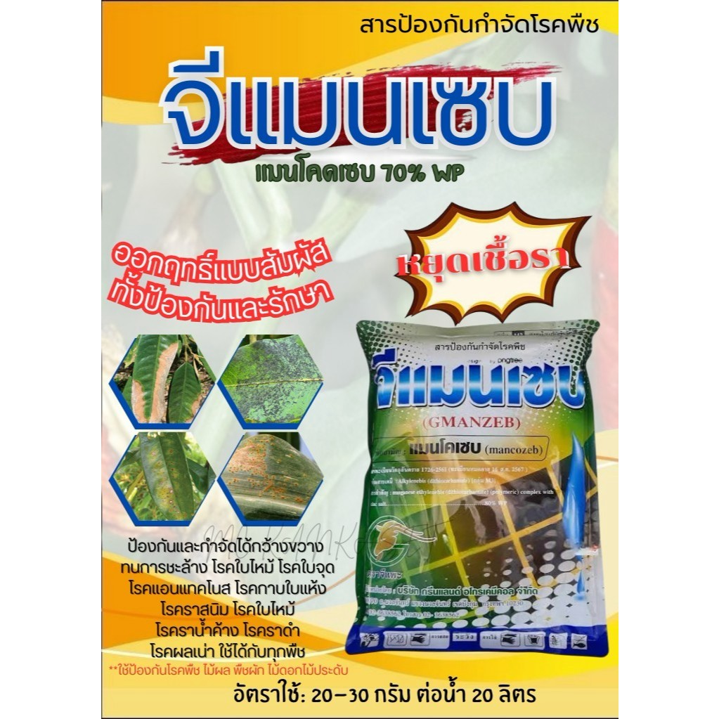 จีแมนเซบ (แมนโคเซบ) เนื้อสีเขียว สารป้องกันกำจัดเชื้อรา ราน้ำค้าง ราสนิม ใบจุด ราเขม่า กาบใบ ผลเน่า