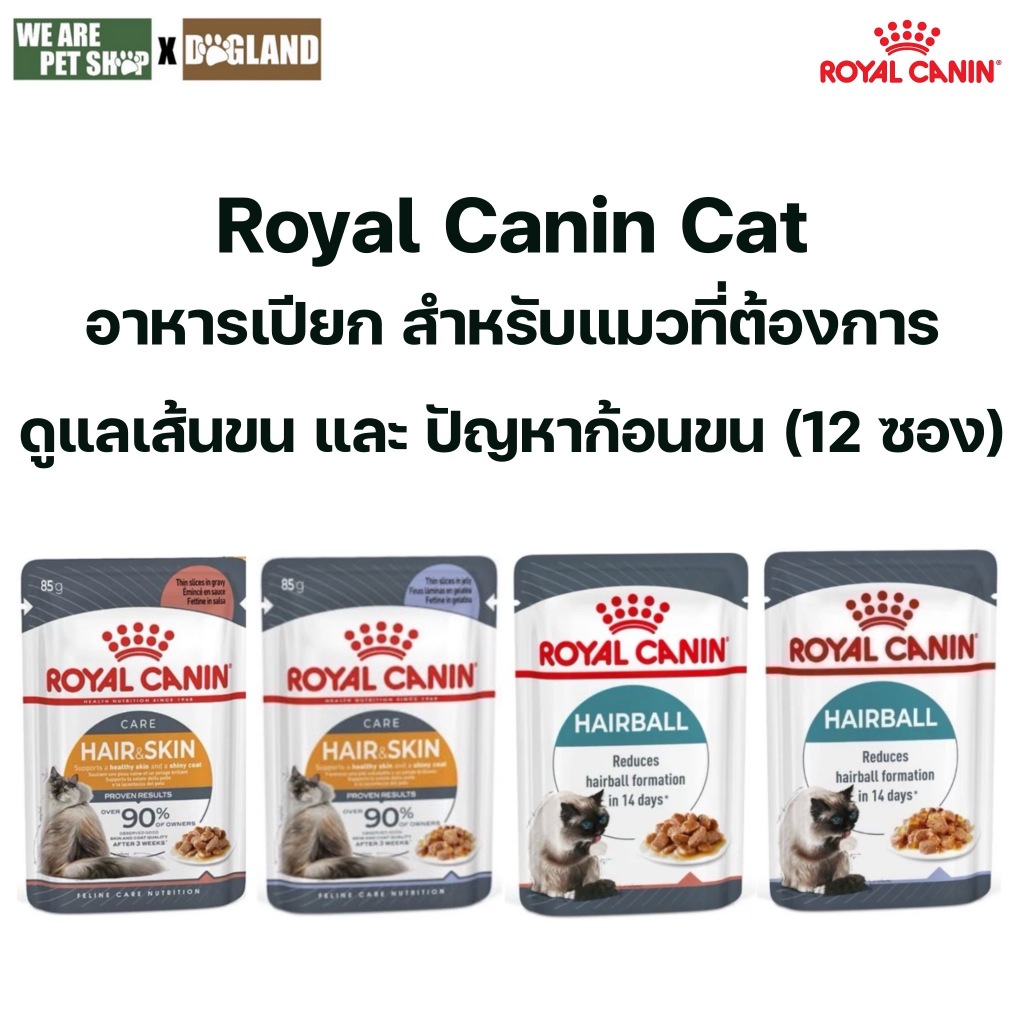 Royal Canin Cat แมวโต ที่ต้องการดูแลผิว และปัญหาก้อนขนอาหารเปียก 12 ซอง