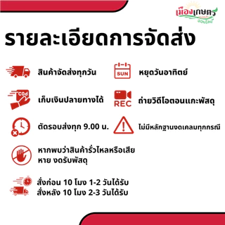 ทุ่งเศรษฐี 25-5-5 1 กิโลกรัม ปุ๋ยเกล็ด ปุ๋ยทางใบ หวีทอง ใบหนา เขียวเข้ม เร่งต้น บำรุงราก ใบเขียวดก