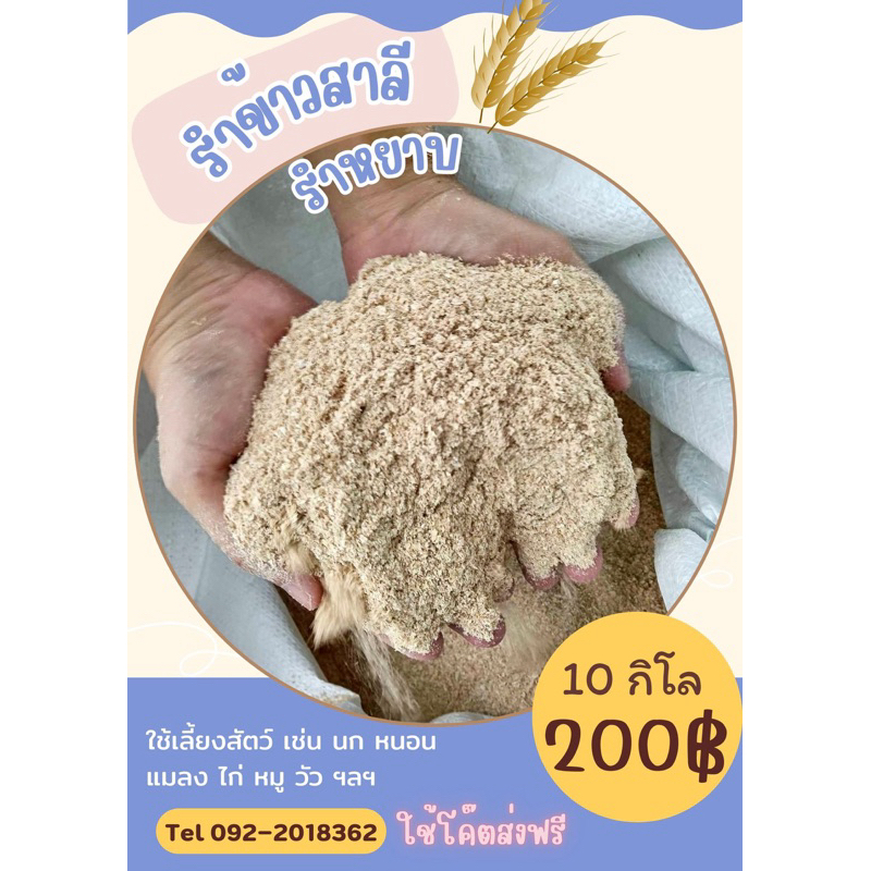 รำข้าวสาลี ”10กิโล“[ใช้โค๊ตส่งฟรี] รำหยาบ ผลิต10/11/2568สำหรับสัตว์พร้อมส่งคุณภาพดี ผลิตสดใหม่ไร้มอด