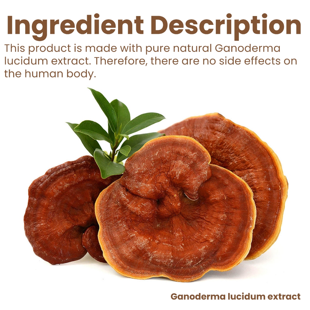 EELHOE ครีมเห็ดหลินจือ ช่วยลดเลือนริ้วรอยอย่างมีประสิทธิภาพและทำให้ครีมให้ความชุ่มชื้นเห็ดหลินจือสดใสขึ้น Reishi Cream - รูปที่ 4