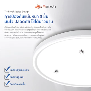 [3FREE1]RANDY โคมไฟเพดานLED 36W 54Wสว่าง ปรับได้3สี กันน้ำกันฝุ่นกันสนิม ติดตั้งง่าย รับประกัน2ปี ทน