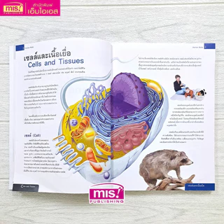หนังสือระบบร่างกายมนุษย์ ฉบับปรับปรุง