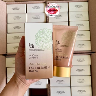 บีบี Welcos No Makeup Face BB Cream SPF30 50ml.