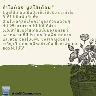มูลไส้เดือนแท้ น้ำหนัก 10 กิโลกรัม บรรจุกระสอบ