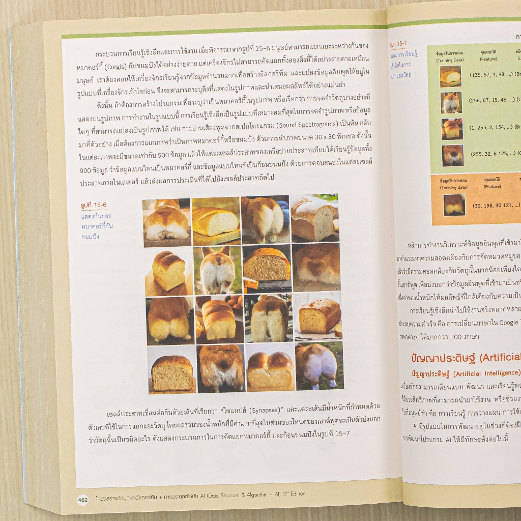 Infopress (อินโฟเพรส) โครงสร้างข้อมูลและอัลกอริทึม + การประยุกต์ใช้ AI (Data Structure & Algorithm+AI)3rd Edition -76248 - รูปที่ 5