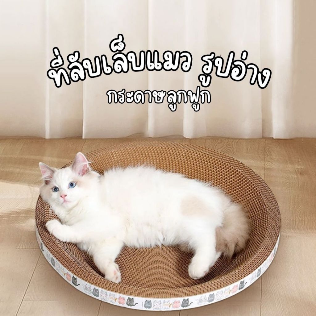 ที่ลับเล็บแมว รูปอ่าง ที่ฝนเล็บแมว เป็นที่นอนแมวไปในตัว ฟรีแคปนิท 3in1