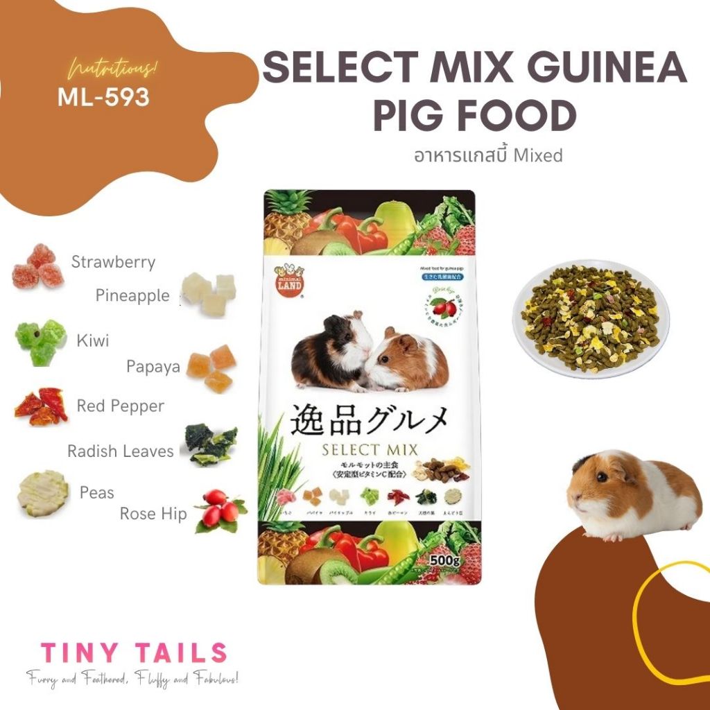 ML-593 Select Mix Guinea Pig Food อาหารแกสบี้ Mixed [EXP. 10/2026]