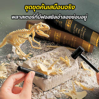 ของเล่น ขุดกระดูกไดโนเสาร์ ขุดของเล่น ไดโนเสาร์ ฟอสซิลอัญมณี หาสมบัติ