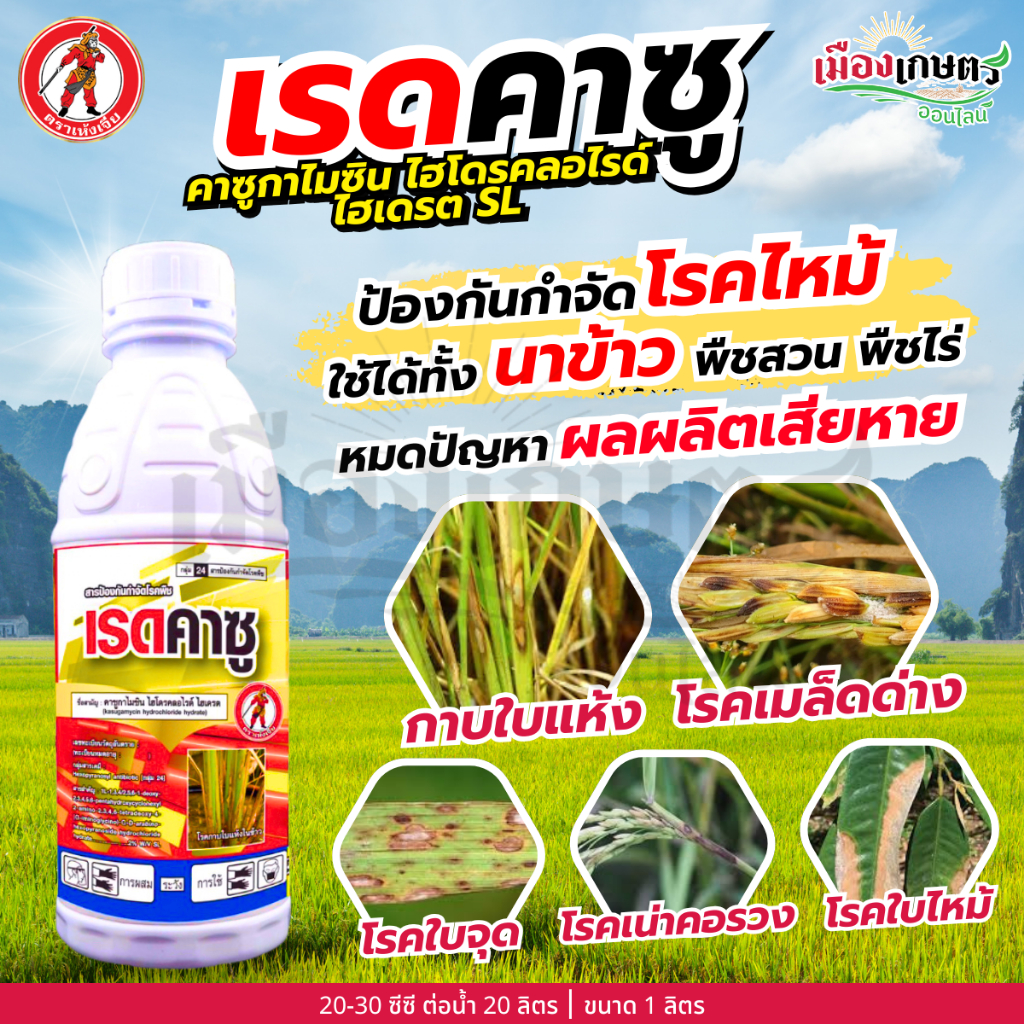 เรดคาซุ คาซูกาไมซิน 2% SL 1 ลิตร ยาเชื้อรา ป้องกันโรคพืช ยาโรคพืช ป้องกันกำจัดโรค ใบไหม้ กาบใบแห้ง โรคใบจุด เมล็ดด่าง
