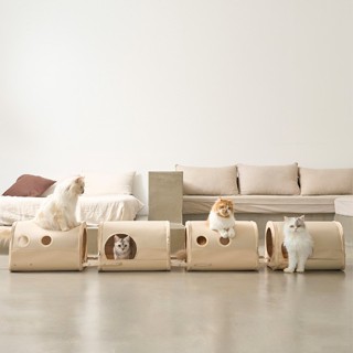 Duit Train Expess (DTX) อุโมงค์แมว บ้านแมว ถอดประกอบได้