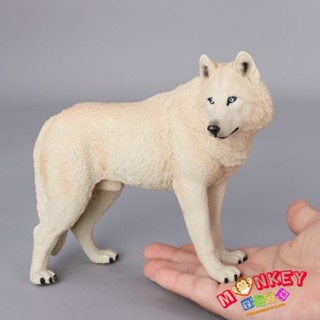 Monkey Toys โมเดลสัตว์ Wolf หมาป่า ขาว ขนาด 18.00 CM (จากหาด…