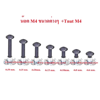 น๊อตดำ JT น๊อตดำ หัวร่มดำ M4x6,x8,x10,x15,x20,x25,x30,x35,40,45,50mm.+Tnut M4ชุบซิงค์ขาว สกรูดำ