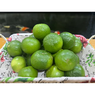 มะนาวแป้นรำไพเบอร์5 (2โล)เปลือกบางน้ำเยอะจัดส่งไว