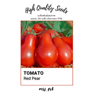 เมล็ดมะเขือเทศนำเข้า Red Pear Tomato รหัส017