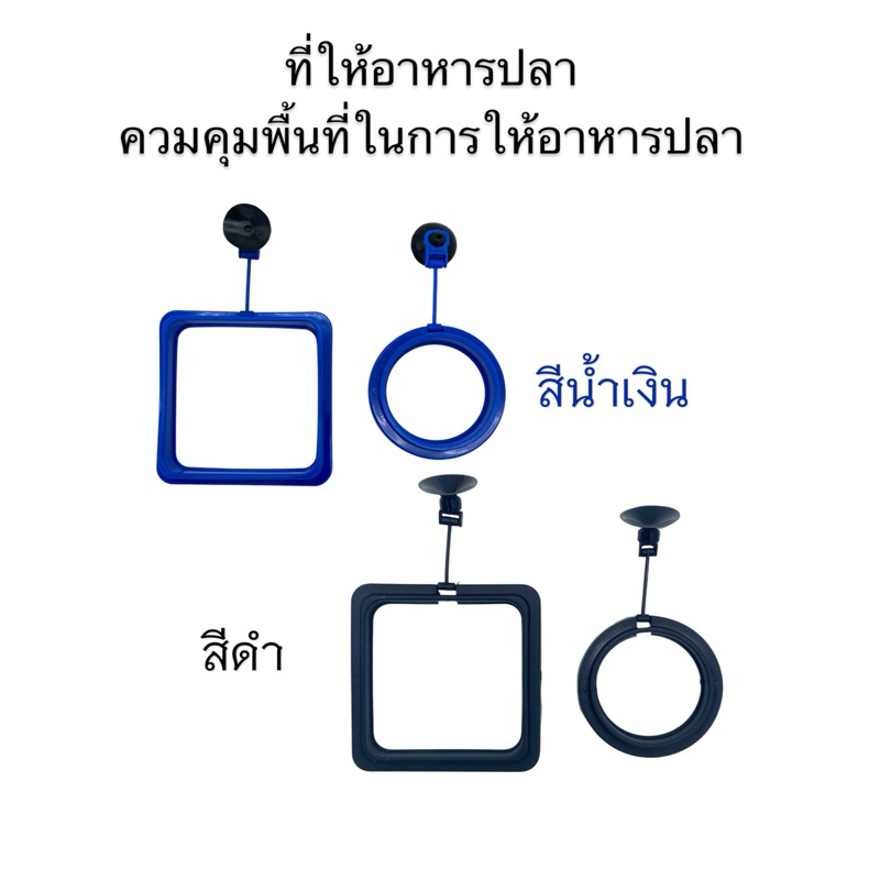 ที่ให้อาหารปลา ห่วงให้อาหารปลา ที่กักอาหารปลา
