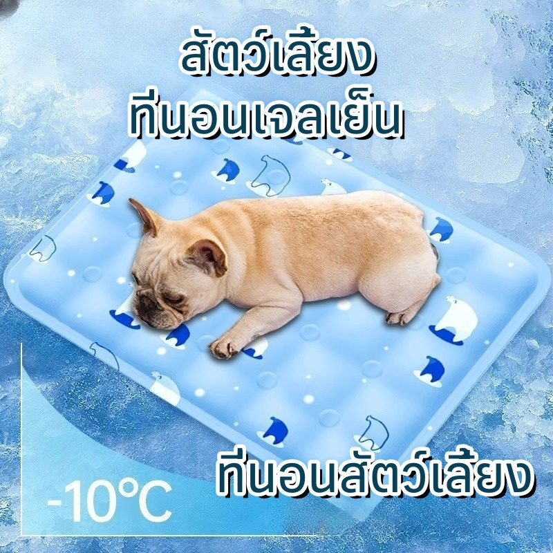 ผู้ใหญ่ อเนกประสงค์ ที่นอนเจลเย็น แผ่นเจลเย็น เบาะนอนเย็น ใช้หลังจากเติมน้ำแล้ว ที่นอนสัตว์เลี้ยง แผ่นเจลเย็นแมวสุนัข