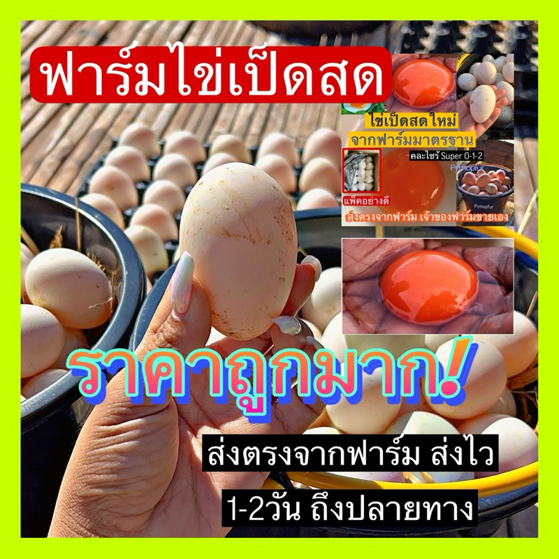 ไข่เป็ดสดอารมณ์ดี ส่งลูกค้าสด ใหม่ ทุกวัน ไม่มีกลิ่นคาว (30 ฟอง)ไซร์คละ น้ำหนัก 55-70 กรัมต่อฟอง
