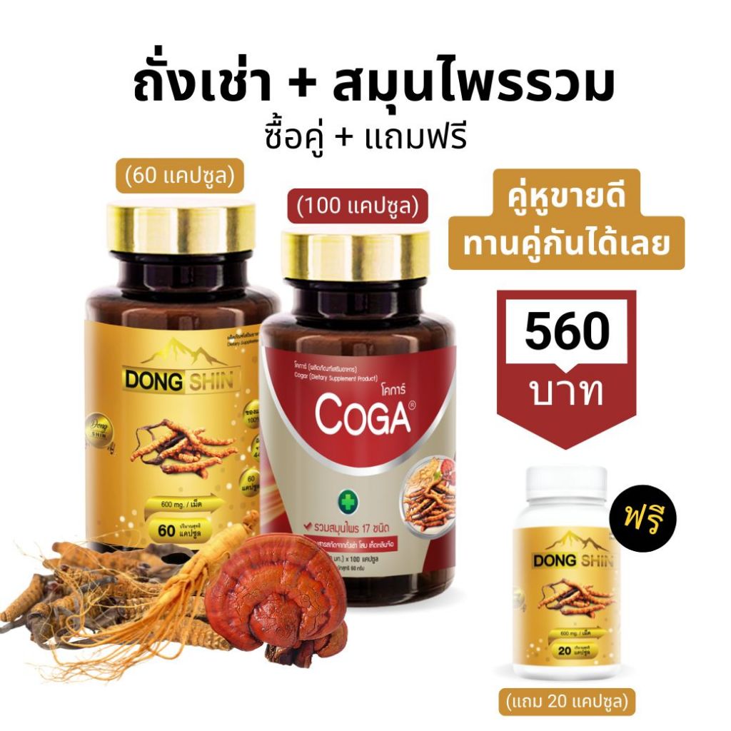 ตงฉิน+โคก้า (ซื้อคู่) ถั่งเช่าทิเบตแท้ + สมุนไพรรวม17ชนิด วิตามิน บำรุงร่างกาย Dongshin