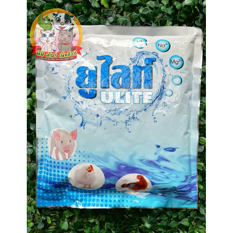 ยูไลท์(ULITE) อิเล็กโตรไลท์เข้มข้น สำหรับสัตว์ทุกชนิด ถูกที่สุด‼️