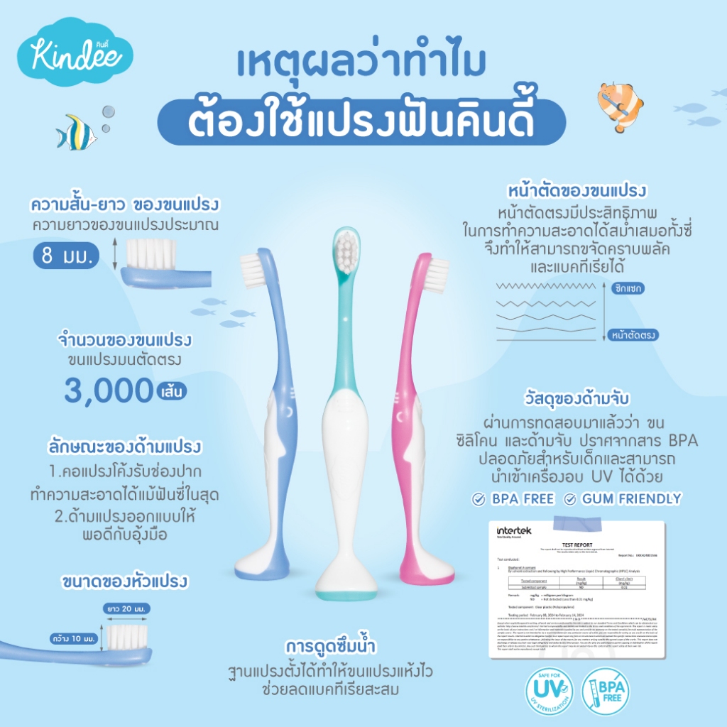 Kindee คินดี้ แปรงสีฟัน ยาสีฟันออร์แกนิค สูตรพรีแอนด์โพรไบโอติกส์ มีฟลูออไรด์ (60 กรัม) - 4