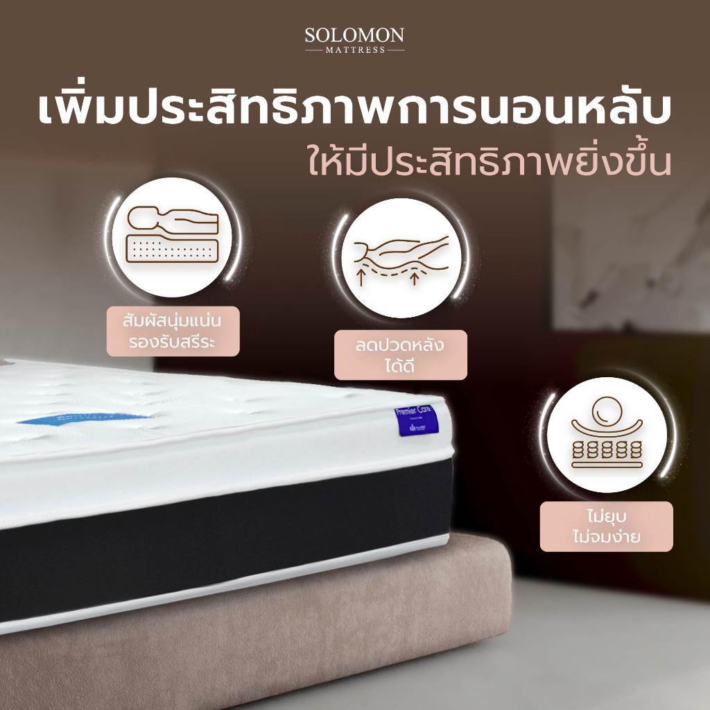 SOLOMON ที่นอนยางพารา 7โซน หนา8นิ้ว รุ่น LUCA รับประกัน 10 ปี - 2