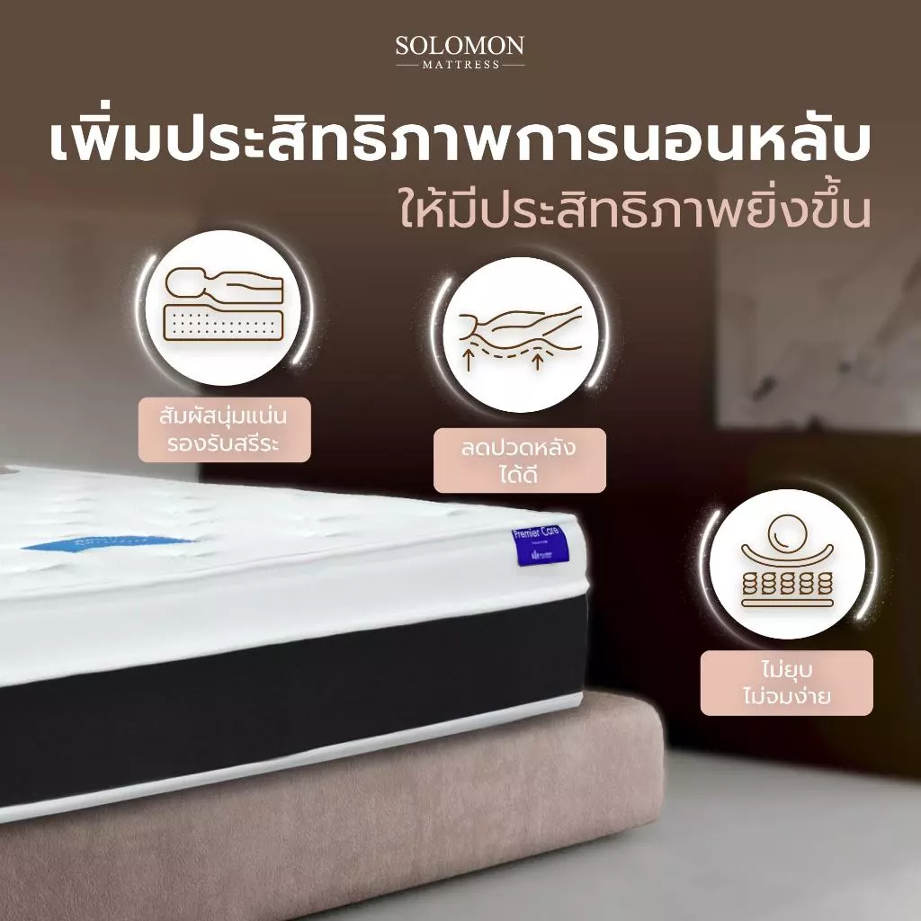 Solomon ที่นอนยางพาราแท้ 7 โซน รุ่น Luca หนา 8 นิ้ว thumbnail 6