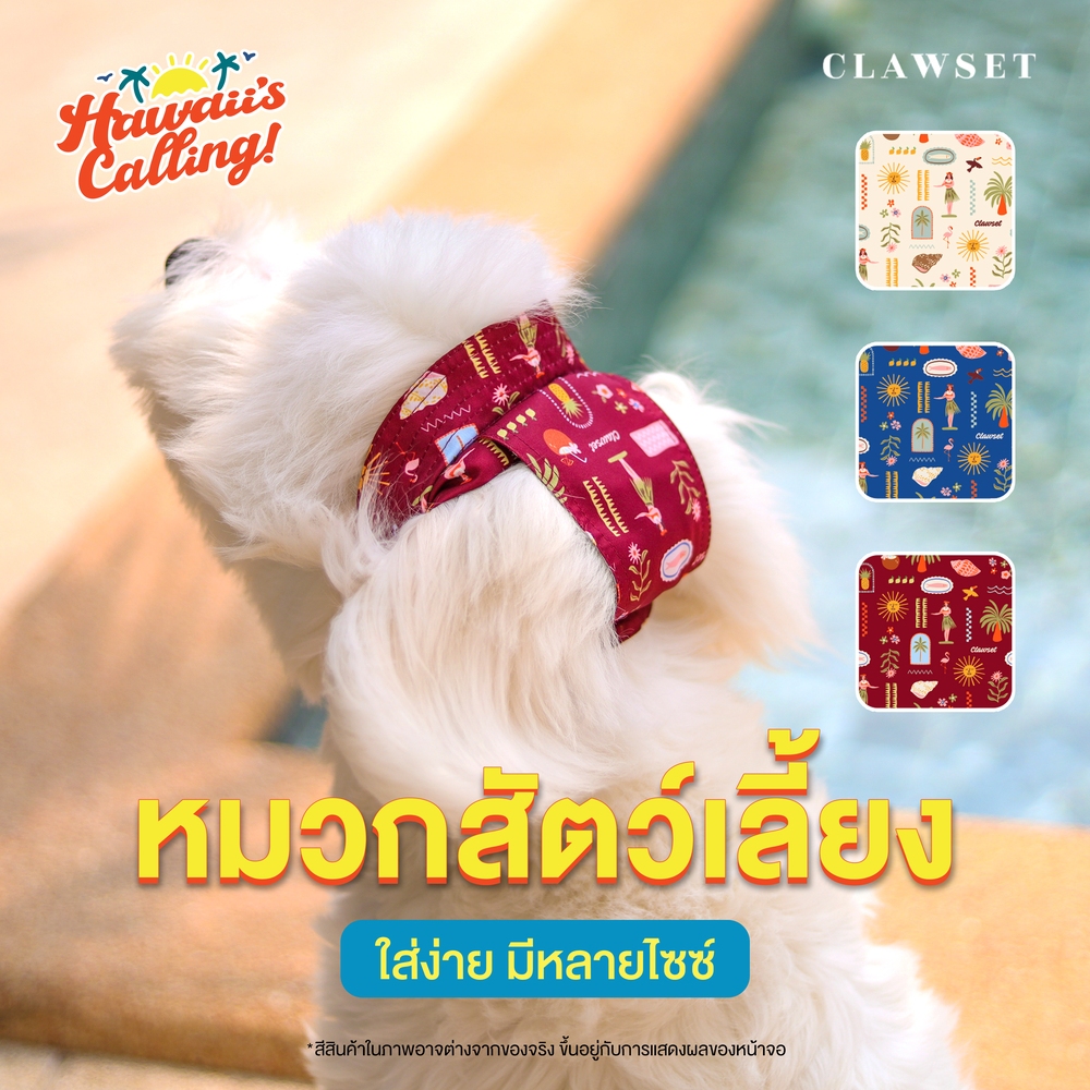 หมวกสัตว์เลี้ยง หมวกบักเก็ต Hawaii's Calling! ใส่ง่าย มีตัวล๊อค | CLAWSET.BKK