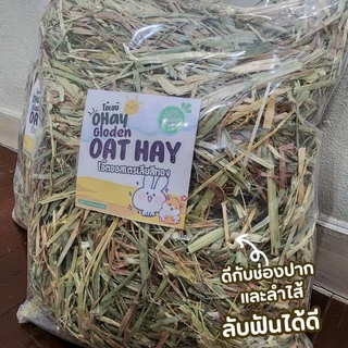 ✅️ขายดี 🌼โอ๊ตสีทอง หญ้าโอ๊ตทองออสเตรเลีย สำหรับกระต่ายและแกสบี้ 500 กรัมร่อนฝุ่น