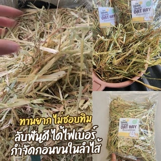 ✅️ขายดี 🌼โอ๊ตสีทอง หญ้าโอ๊ตทองออสเตรเลีย สำหรับกระต่ายและแกสบี้ 500 กรัมร่อนฝุ่น