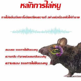 📢ไม่มีหนูตลอดไป📢เครื่องไล่หนู2025 ที่ไล่หนูไฟฟ้า ไล่หนูในบ้านได้ผล100% นอกจากหนูแล้ว ไล่จิ้งจก แมลงสาบไล่ยุง ค้างคาวปลวก