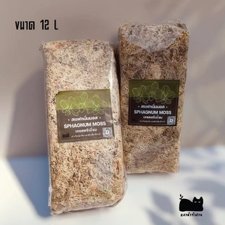 สแฟกนั่มมอส Sphagnum moss 12 L และสเฟกนั่มมอส 50g วัสดุปลูกต้นไม้และใช้สำหรับเลี้ยงสัตว์ ร้านแมวดำทำสวน