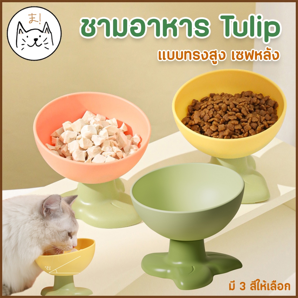 KUMA ま ชามอาหารสัตว์เลี้ยง ชามTulip ทรงสูง เซฟหลัง ชามทรงสูง ชามอาหาร ชามน้ำ สุนัข แแมว