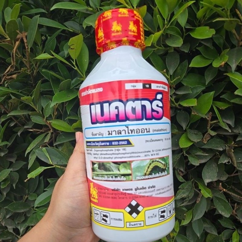 มาลาไทออน(1ลิตร)(เพลี้ยแป้ง)