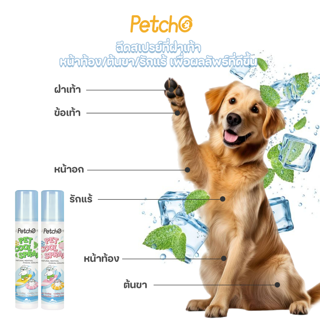 Petcho Pet Cooling Mist สเปรย์เย็น บอดี้สเปรย์  ฉีดแล้วเย็นทันที Relaxing Refreshing - รูปที่ 6