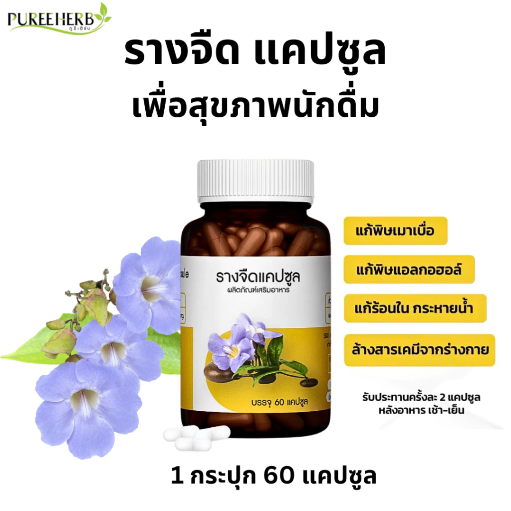 Puree Herb ภูรีเฮิร์บ รางจืด แคปซูล ดื่มหนัก เมา เมาค้าง สุรา ร้อนใน 1 ขวด 60 แคปซูล