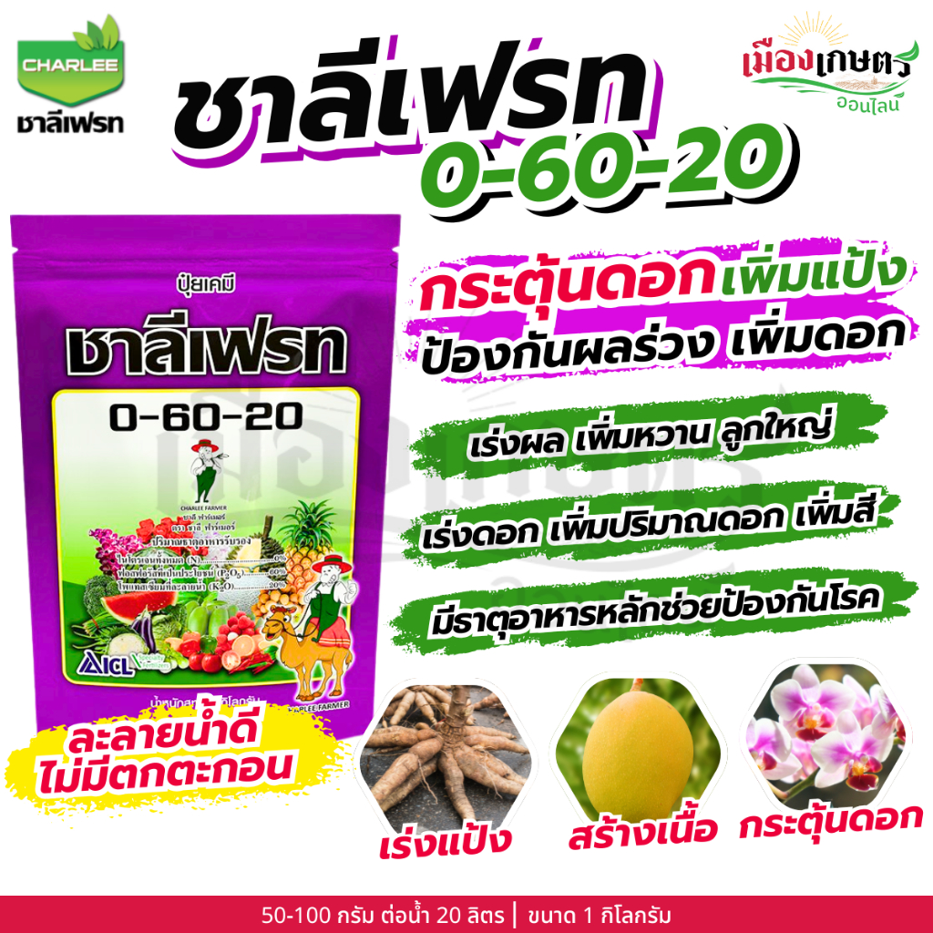(ยกลัง) ชาลีเฟรท ชาลีโกร โซลูม๊อบ 0 0 60 1กิโลกรัม X25  ปุ๋ยโพแทสเซียม ปุ๋ยเคมี ปุ๋ยเกล็ดชนิดผง โพแทสเซียมคลอไรด์ เพิ่มป