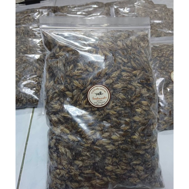 สะดิ้งไข่ ต้มสุกแช่แข็ง ไม่ปรุง สัตว์เลี้ยงกินได้