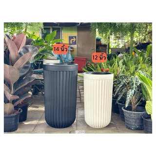 ‼️ถูก ส่งเร็วทันใจ‼️ กระถางโรมันทรงสูง กระถางพลาสติกทรงสูง