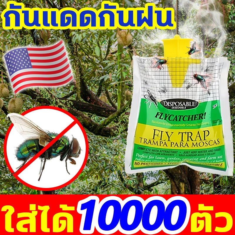 สร้างสิ่งแวดล้อมสะอาด 3000 เมตร ดักแมลงหวี่ นําเข้าจากสหรัฐอเมริกา สารล่อแมลงวันทอง ทนทานต่อสภาพอากาศทุกสภาวะ กาวดักแมลง